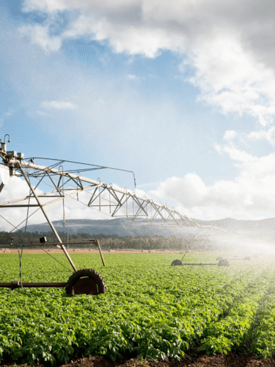 Agriculture and Forestry