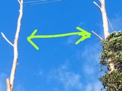 Big Four Tree Felling & Garden Services