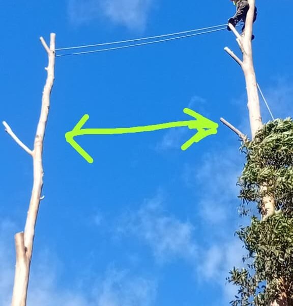 Big Four Tree Felling & Garden Services