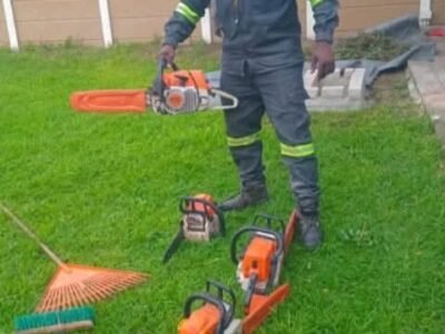 Big Four Tree Felling & Garden Services