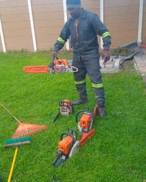 Big Four Tree Felling & Garden Services