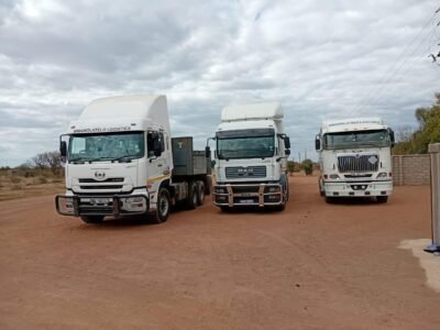 QUEEN SS PROJECTS AND LOGISTICS