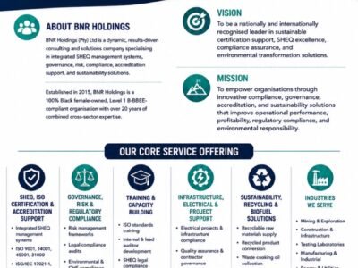 BNR HOLDINGS