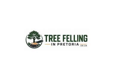 TreeFellingInPretoria