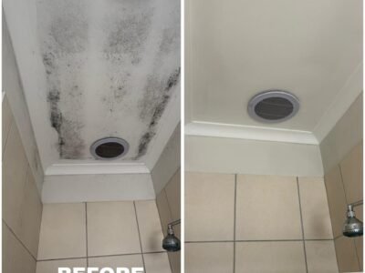 KunaSplash Cleaners