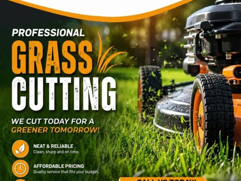SMZ Dynamics (Pty) Ltd